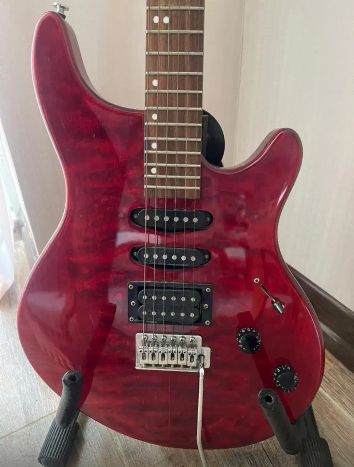 گیتار الکتریک آلمانی Washburn|گیتار، بیس، امپلیفایر|رشت, کاکتوس|دیوار