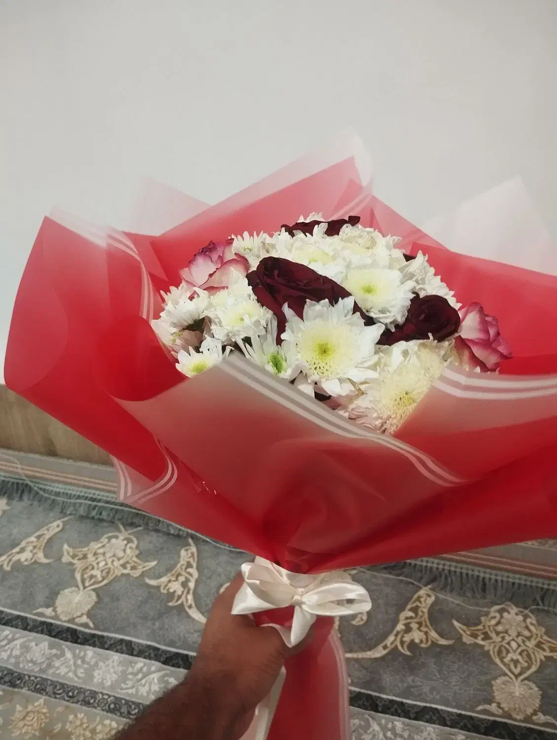 گل .|گل و گیاه طبیعی|زابل, |دیوار