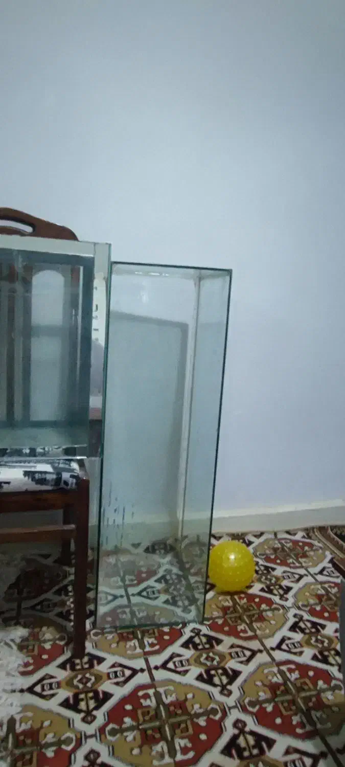 شیشه آکواریوم|ماهی|دزفول, |دیوار