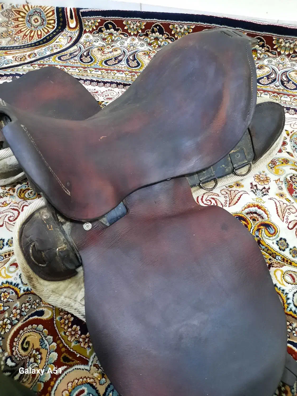 زین  اسب|اسب و تجهیزات اسبسواری|ری, شهید بهشتی|دیوار