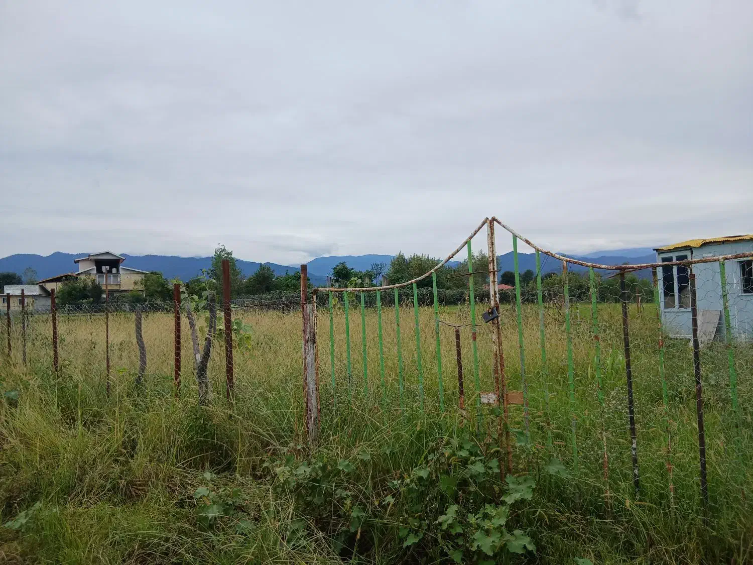 مبل|مبلمان خانگی و میز عسلی|اسالم, |دیوار