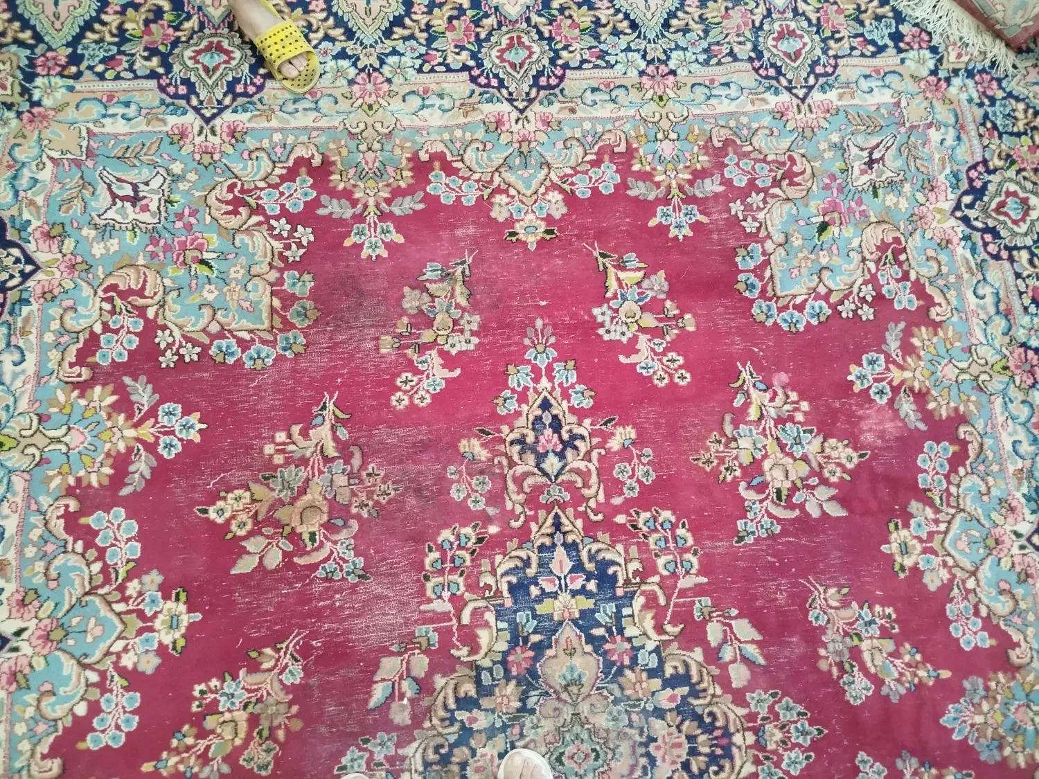 قالی کرمانی عالی|فرش|کرمان, |دیوار