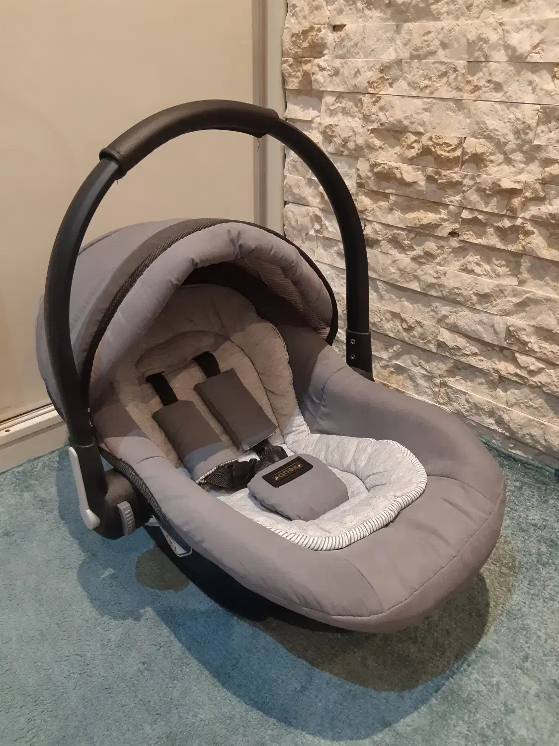 کریر دلیجان کاملا نو|کالسکه و لوازم جانبی|تهران, آشتیانی|دیوار