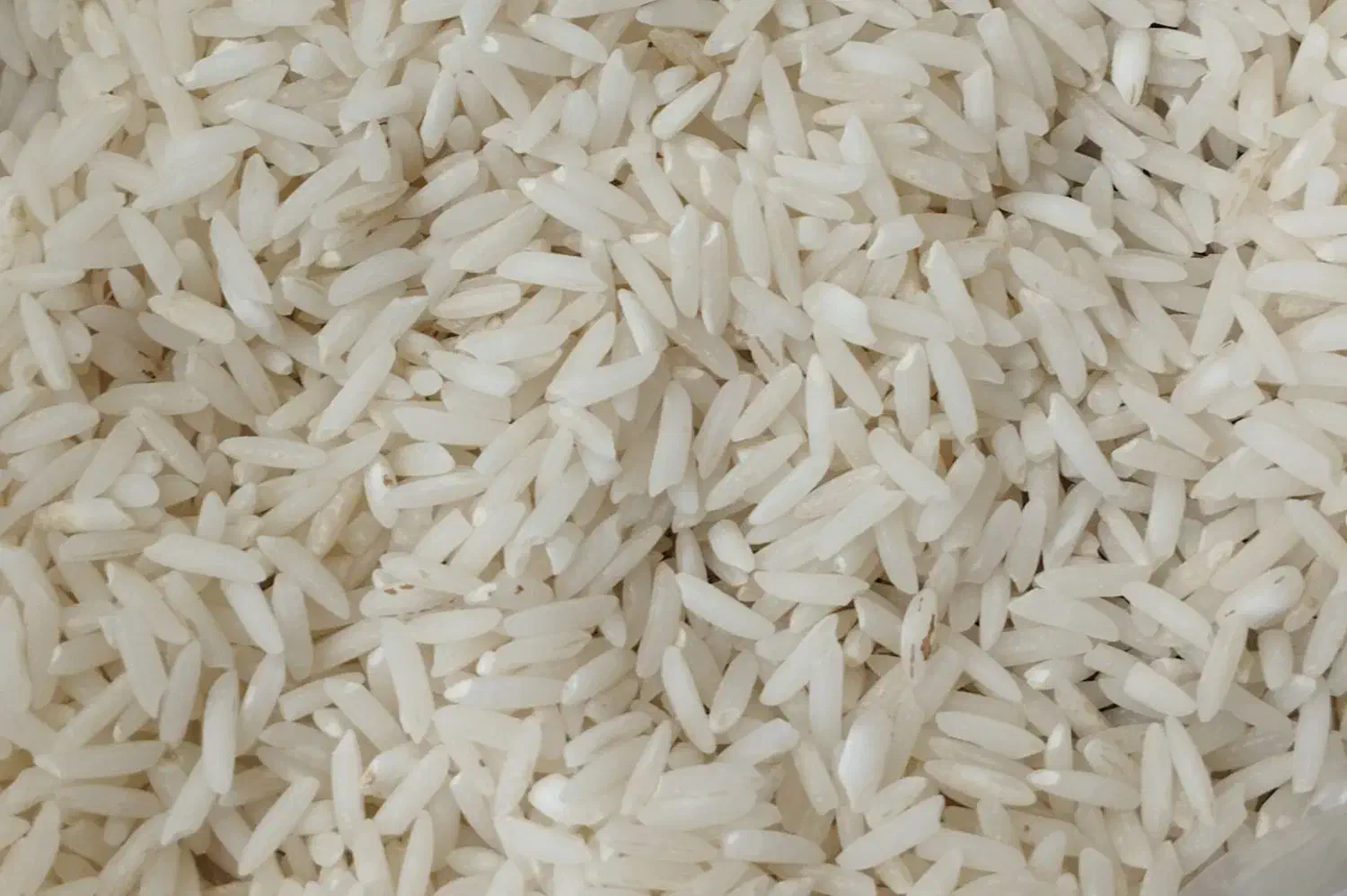 برنج درجه یک کلات (لائین)|خوردنی و آشامیدنی|مشهد, مشکینی (شهرک غرب)|دیوار