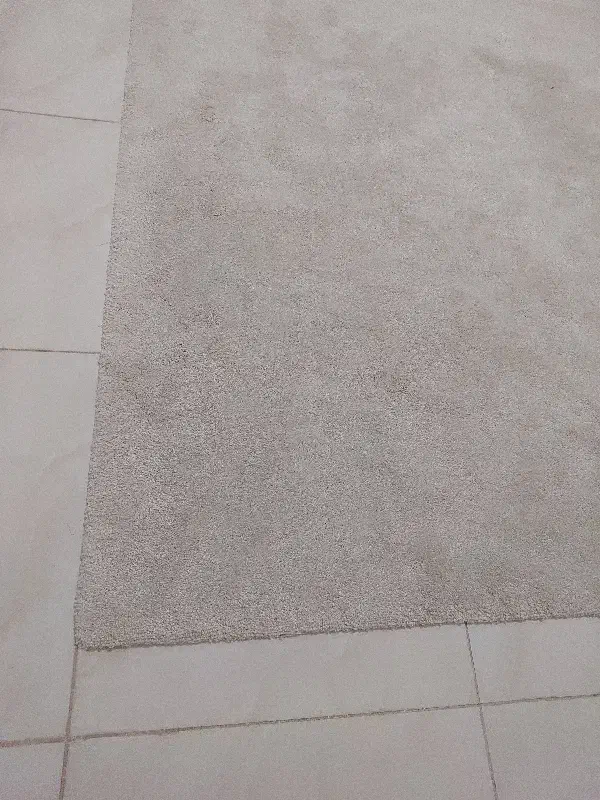 موکت|موکت|بندرعباس, |دیوار