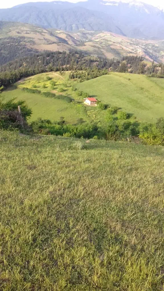 ۶۰۰۰متر خونه باغ دل طبیعت زیبای کلسفروش|فروش خانه و ویلا|توتکابن, |دیوار