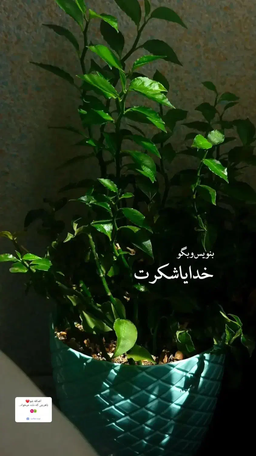 فروش ی قطعه زمین|فروش خانه و ویلا|نگار, |دیوار