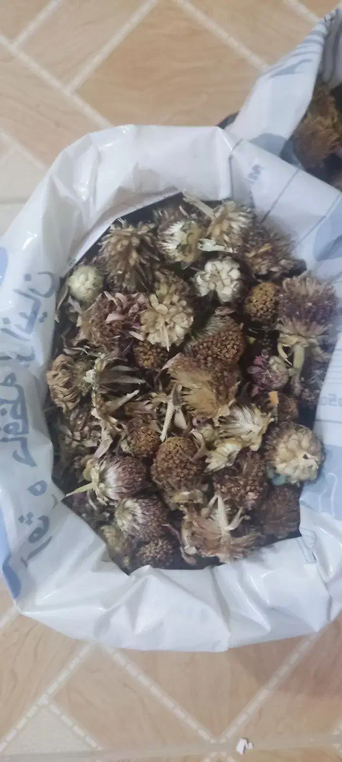 دانه گل|خدمات باغبانی و درختکاری|برازجان, |دیوار