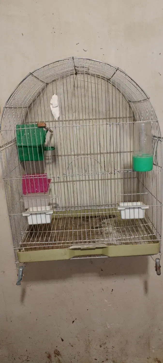 قفس پرندگان تکمیل|لوازم جانبی حیوانات|بوکان, |دیوار