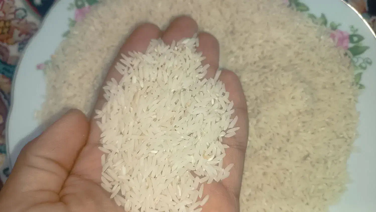 برنج طارم دم سیاه کلاله|خوردنی و آشامیدنی|گنبد کاووس, |دیوار