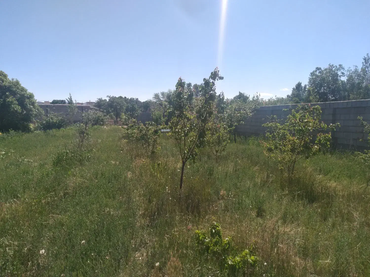 باغ|فروش زمین و ملک کلنگی|آباده, |دیوار