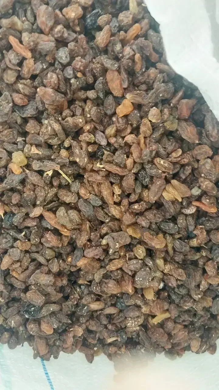 کشمش افتابی درجه یک|خوردنی و آشامیدنی|یزد, |دیوار