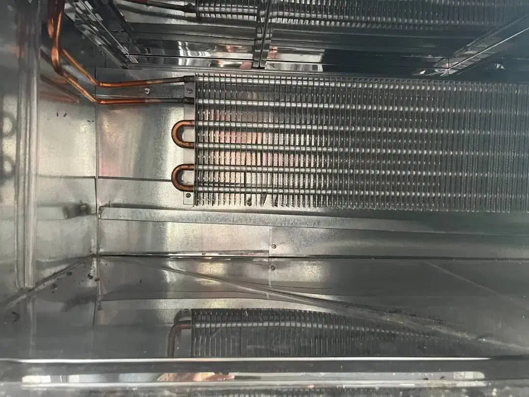 ویترین شیرینی|فروشگاه و مغازه|کازرون, |دیوار