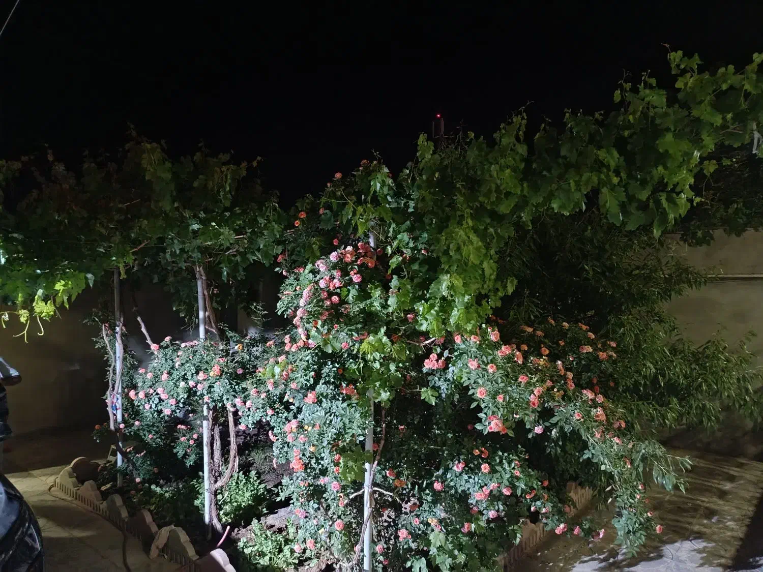 منزل ویلایی فروشی|فروش خانه و ویلا|اسلامیه, |دیوار