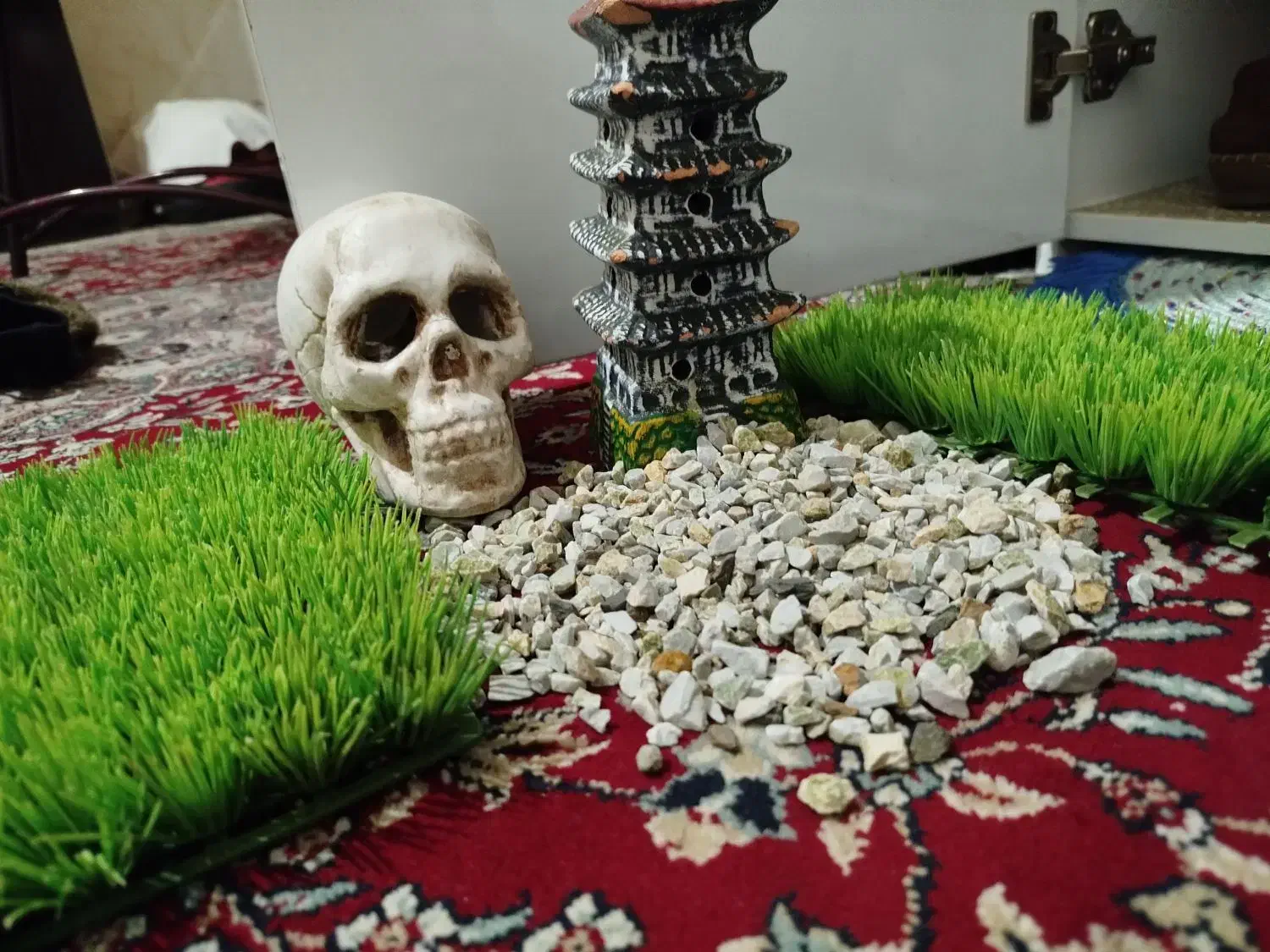 اکواریوم|ماهی|تویسرکان, |دیوار