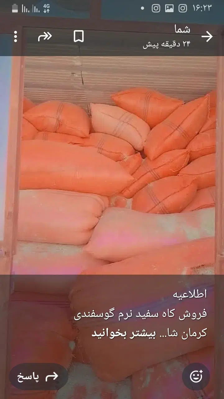 کاه گندم|عمده‌فروشی|نیک شهر, |دیوار