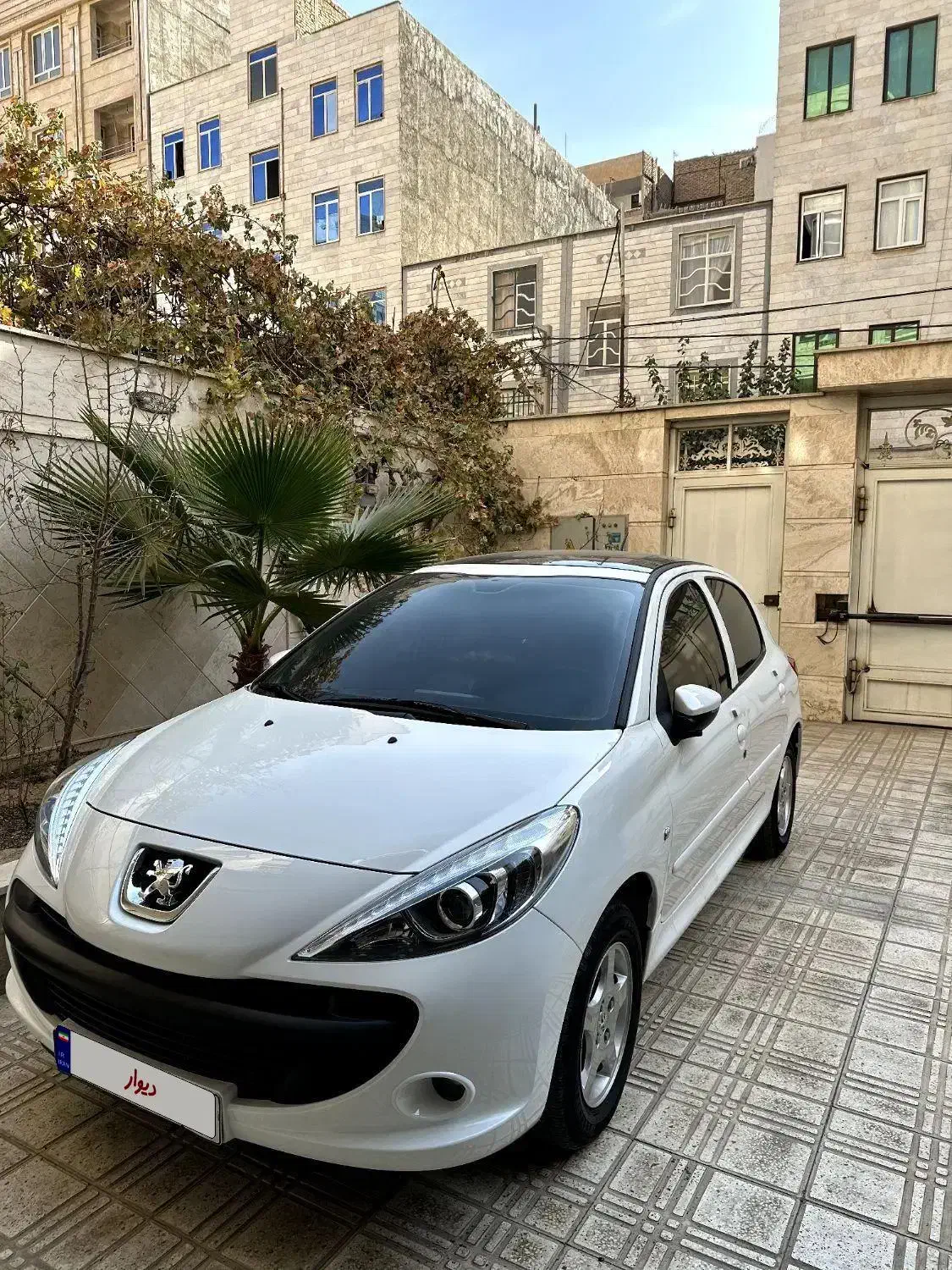 207 پانا مدل 1404|خودرو سواری و وانت|گلستان (تهران), |دیوار