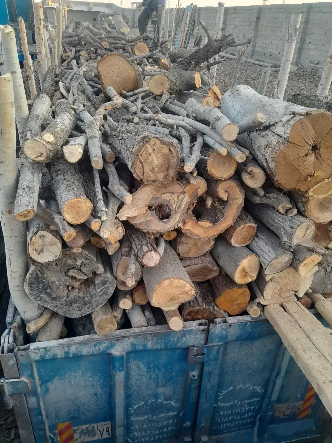 خریدار انواع چوب هیزمی زغالی ریشه درخت|خدمات باغبانی و درختکاری|آبیک, |دیوار