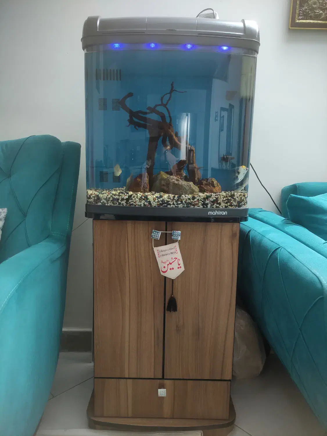 آکواریوم آب شیرین و شور با تجهیزات|ماهی|تهران, شهرک فرهنگیان|دیوار