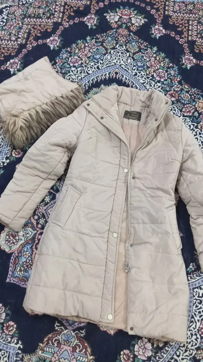 آکورپال|ظروف سرو و پذیرایی|باوی, |دیوار