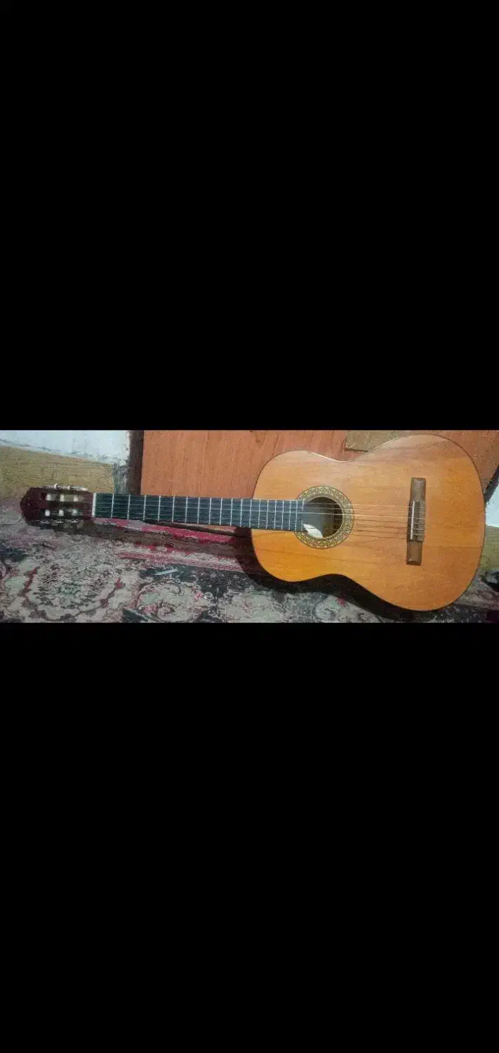 گیتار کاملا نو همراه کاور|گیتار، بیس، امپلیفایر|مشهد, شهرک شهید باهنر|دیوار