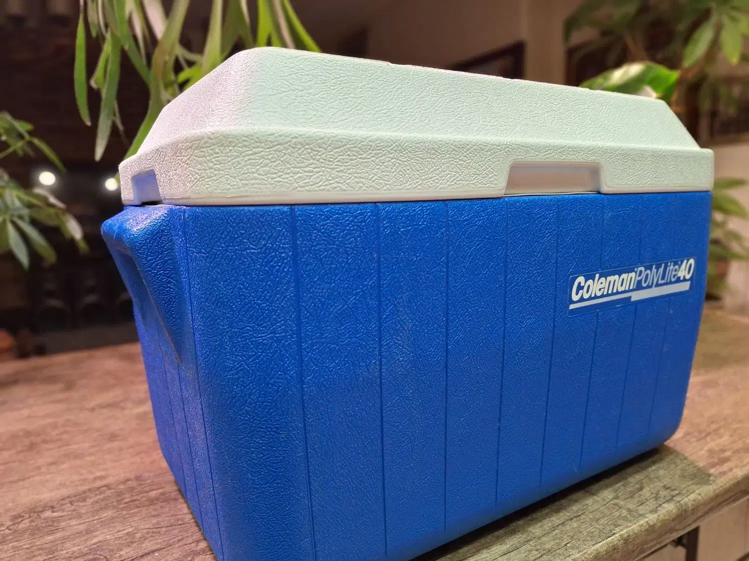 کلمن.یخدان|ظروف نگهدارنده، پلاستیکی، یک‌بارمصرف|تهران, نارمک جنوبی|دیوار