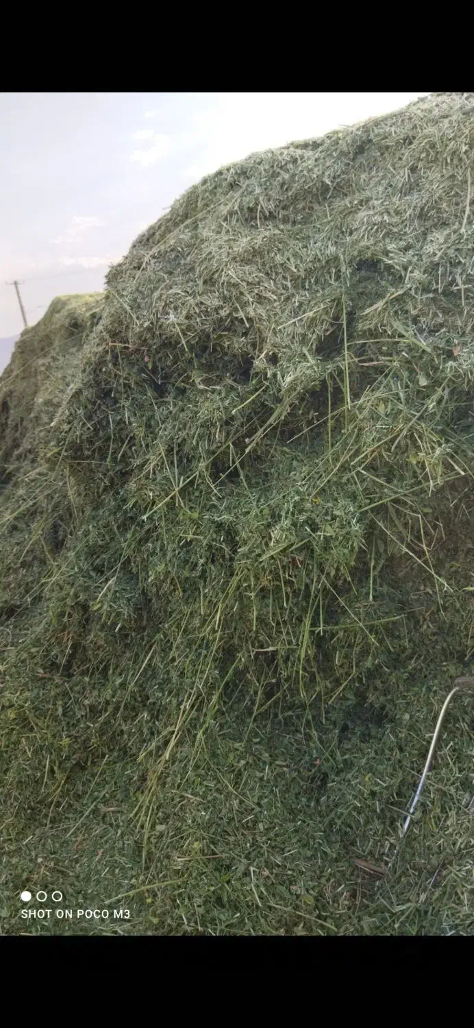 یونجه چین چهار|عمده‌فروشی|بروجرد, |دیوار