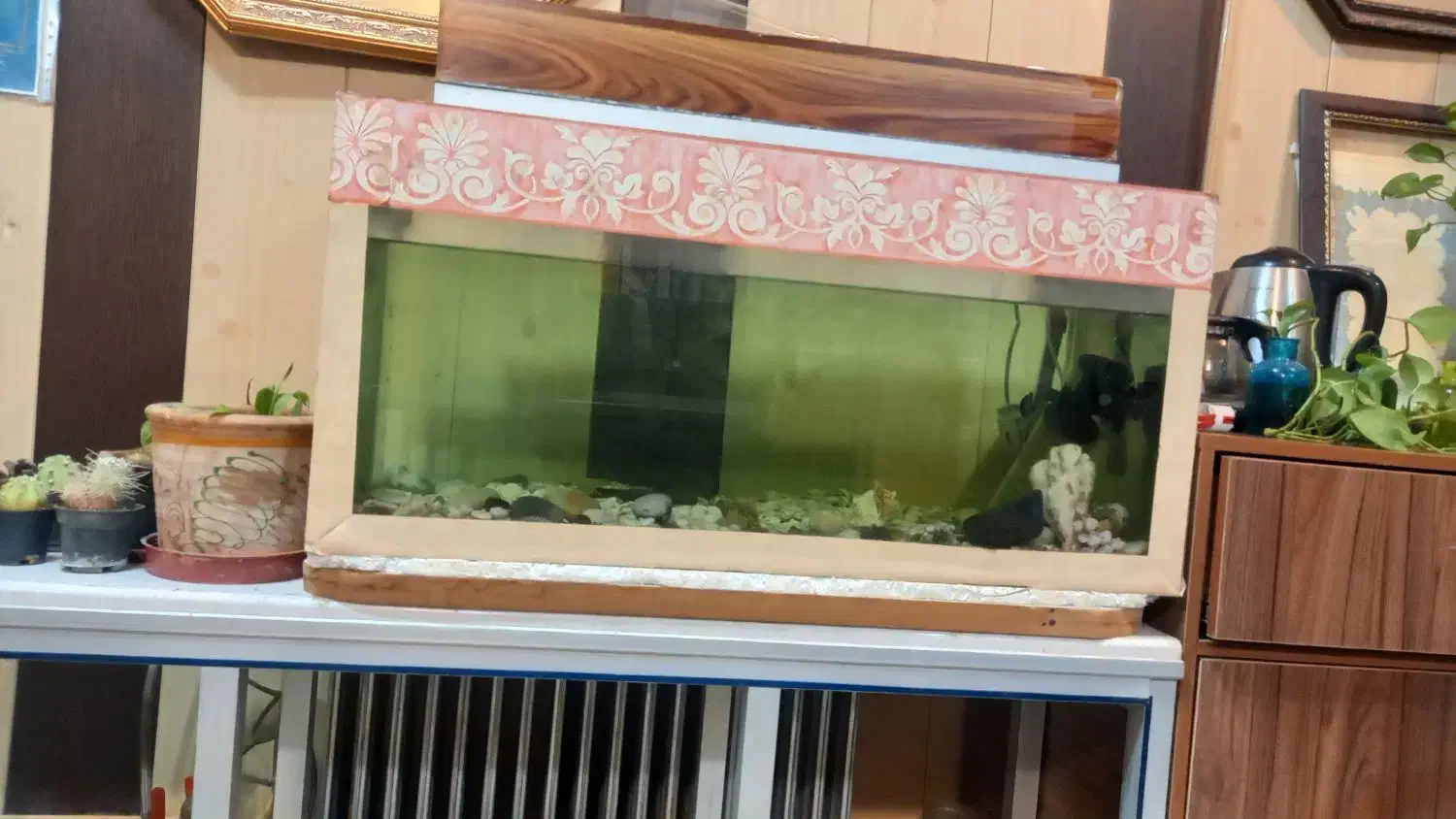 اکواریوم سالم با وسایل|ماهی|شهرکرد, |دیوار