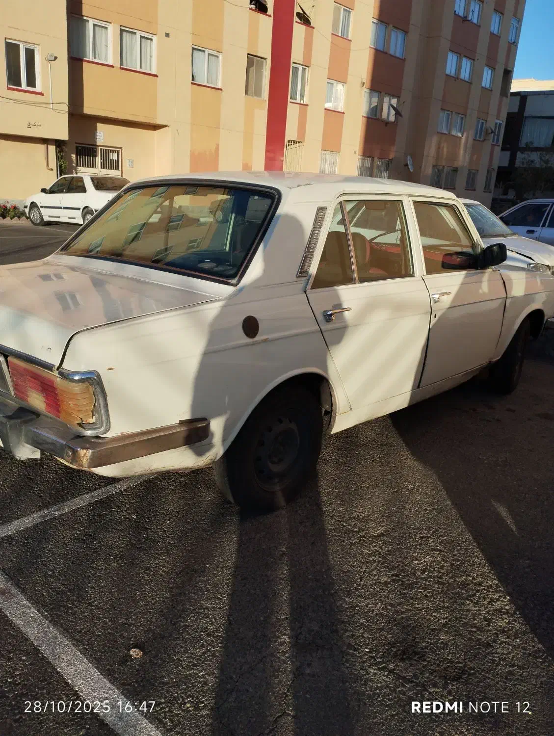 پیکان مدل 81|خودرو سواری و وانت|سهند, |دیوار