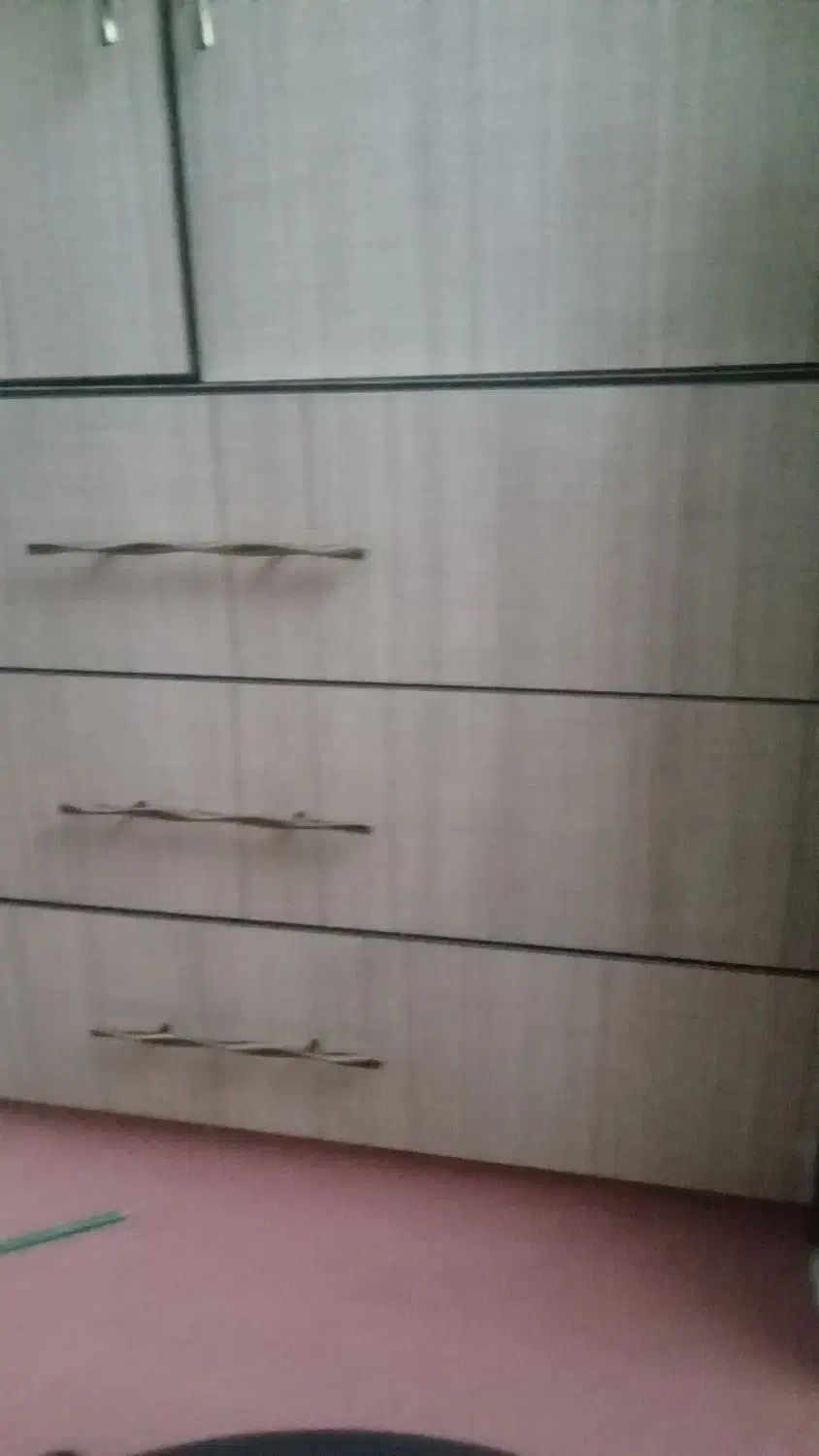 رخت اویز و جا ارایشی|بندرخت و رخت‌آویز|مریوان, |دیوار