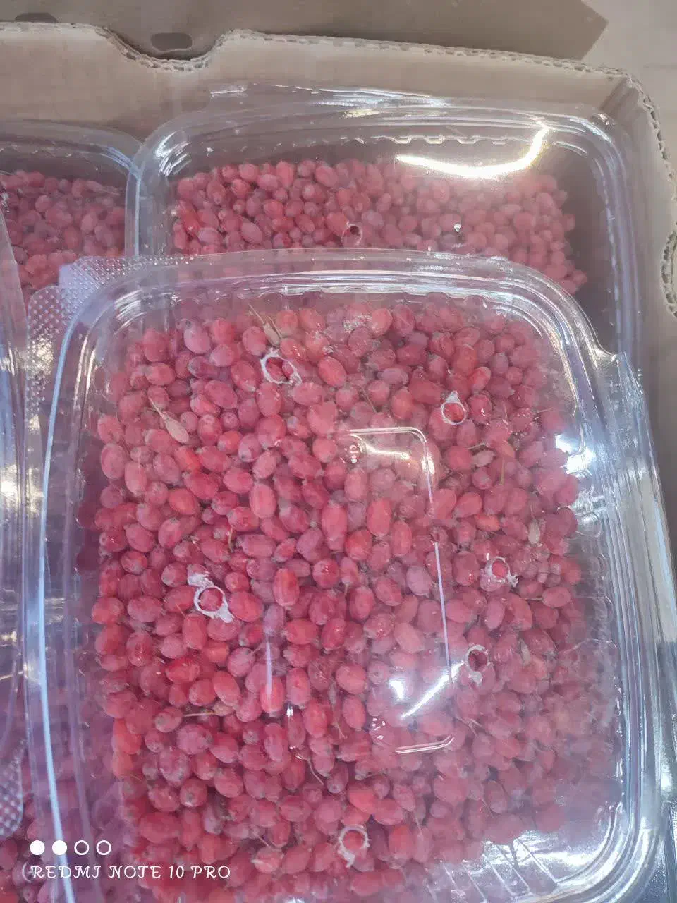 زرشک تازه پاک شده|خوردنی و آشامیدنی|اصفهان, سرتاوه|دیوار