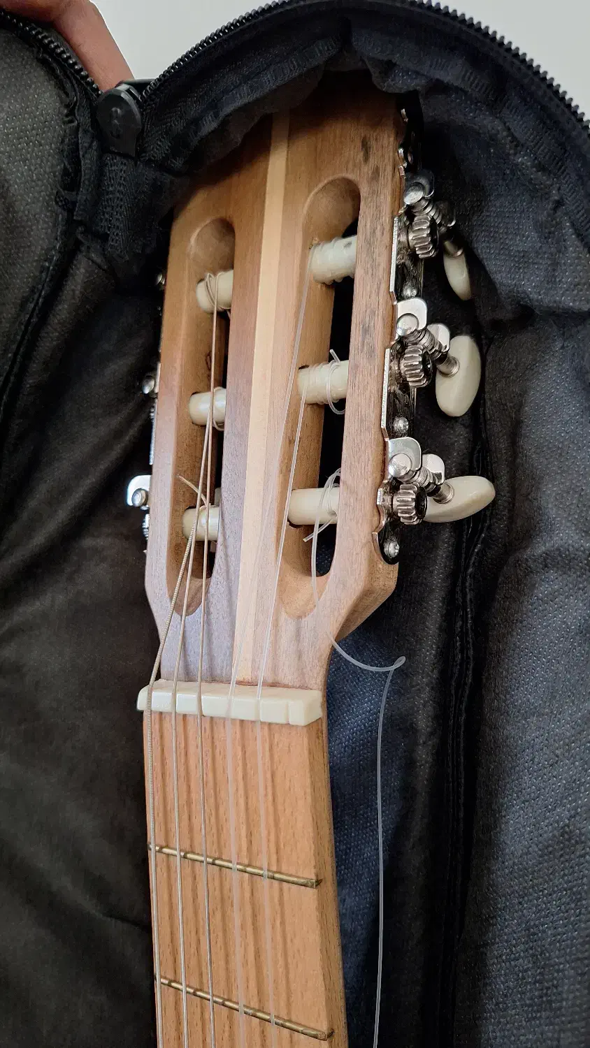 گیتار پرشین|گیتار، بیس، امپلیفایر|درگزین, |دیوار