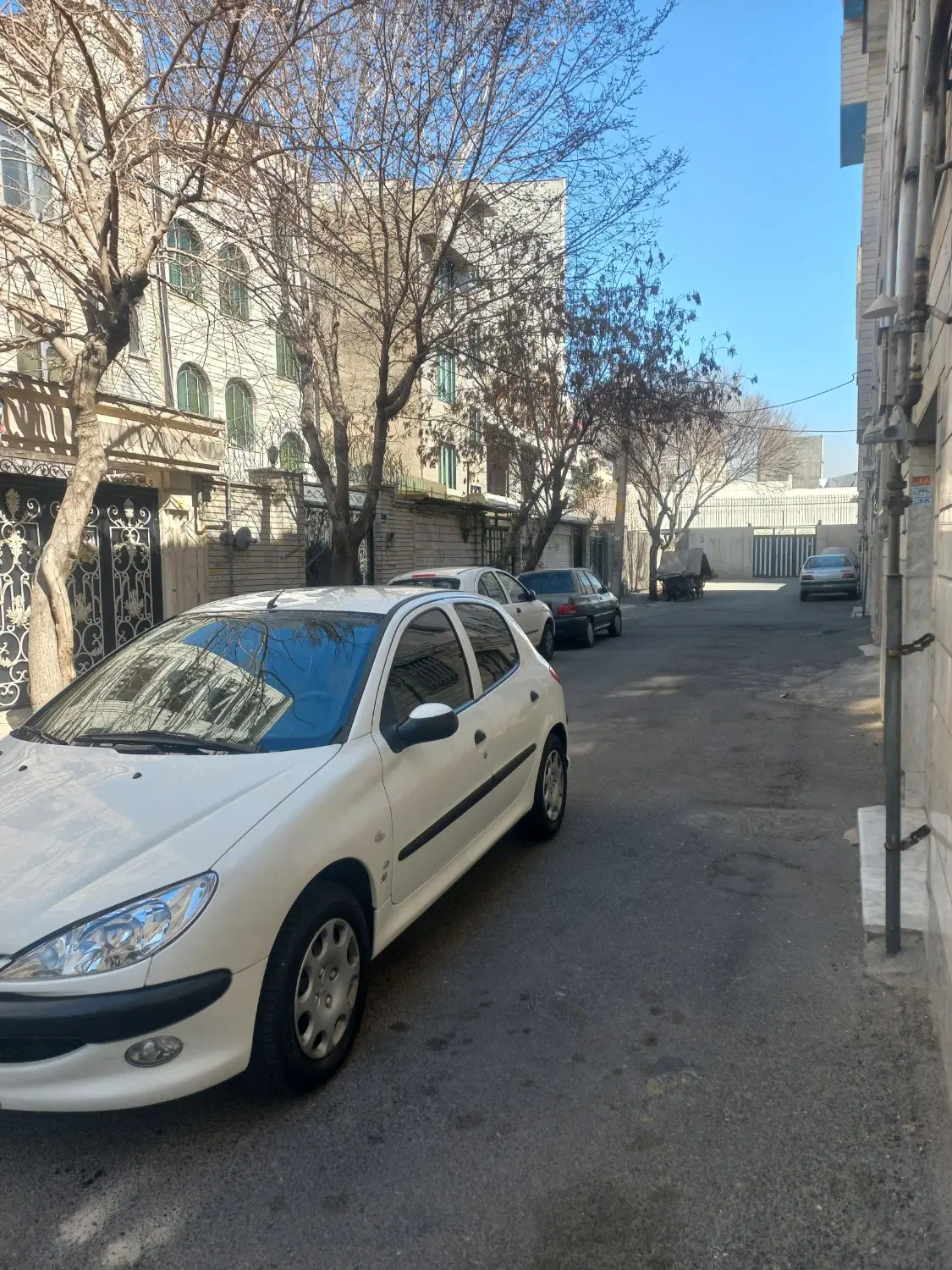 ۲۰۶|خودرو سواری و وانت|تهران, تهرانسر غربی|دیوار