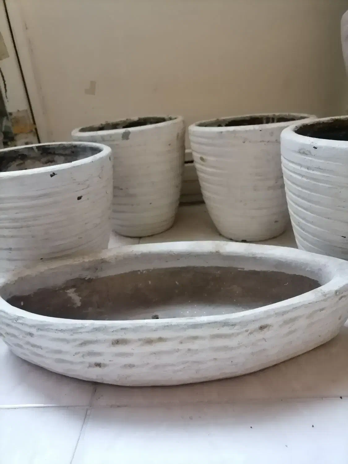 گلدان سفالی|گل و گیاه طبیعی|تهران, نارمک|دیوار