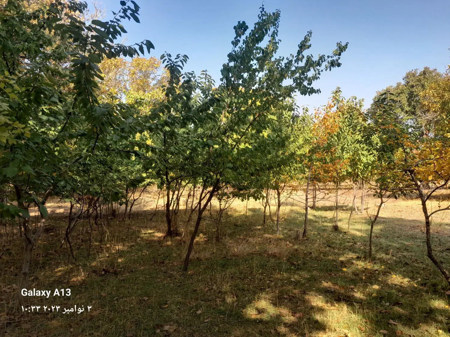 زمین|فروش زمین و ملک کلنگی|ضیاء آباد, |دیوار