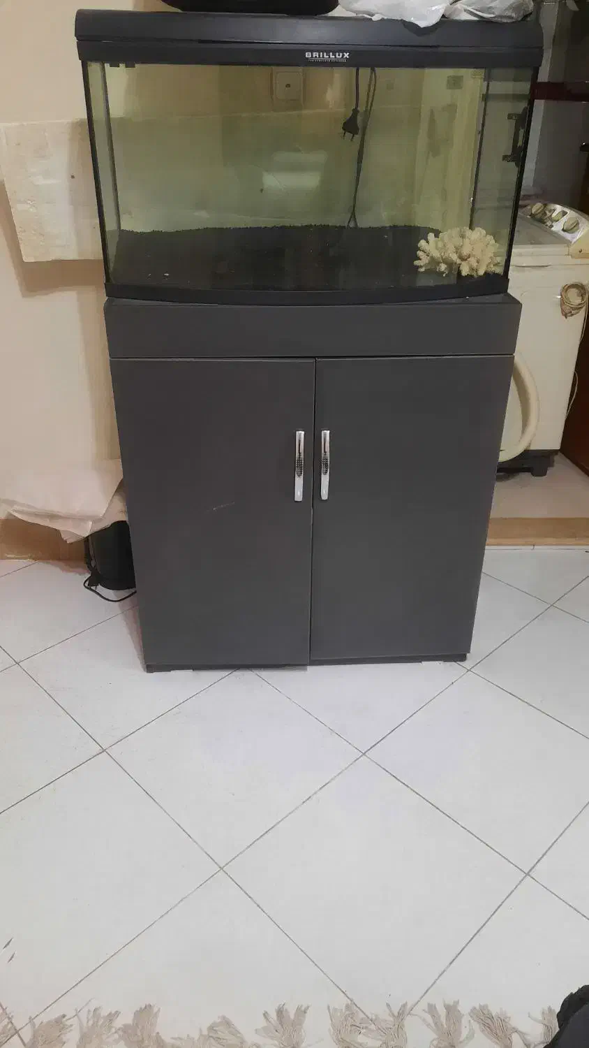 اکواریوم با کلیه متعلقات|ماهی|شیراز, منطقه هوایی شهید دوران|دیوار