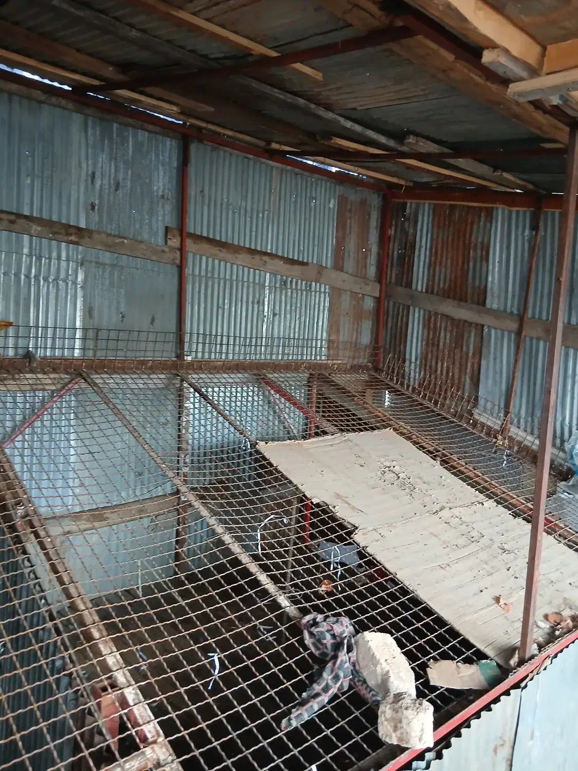 گاری|فروشگاه و مغازه|رشت, نخودچر|دیوار