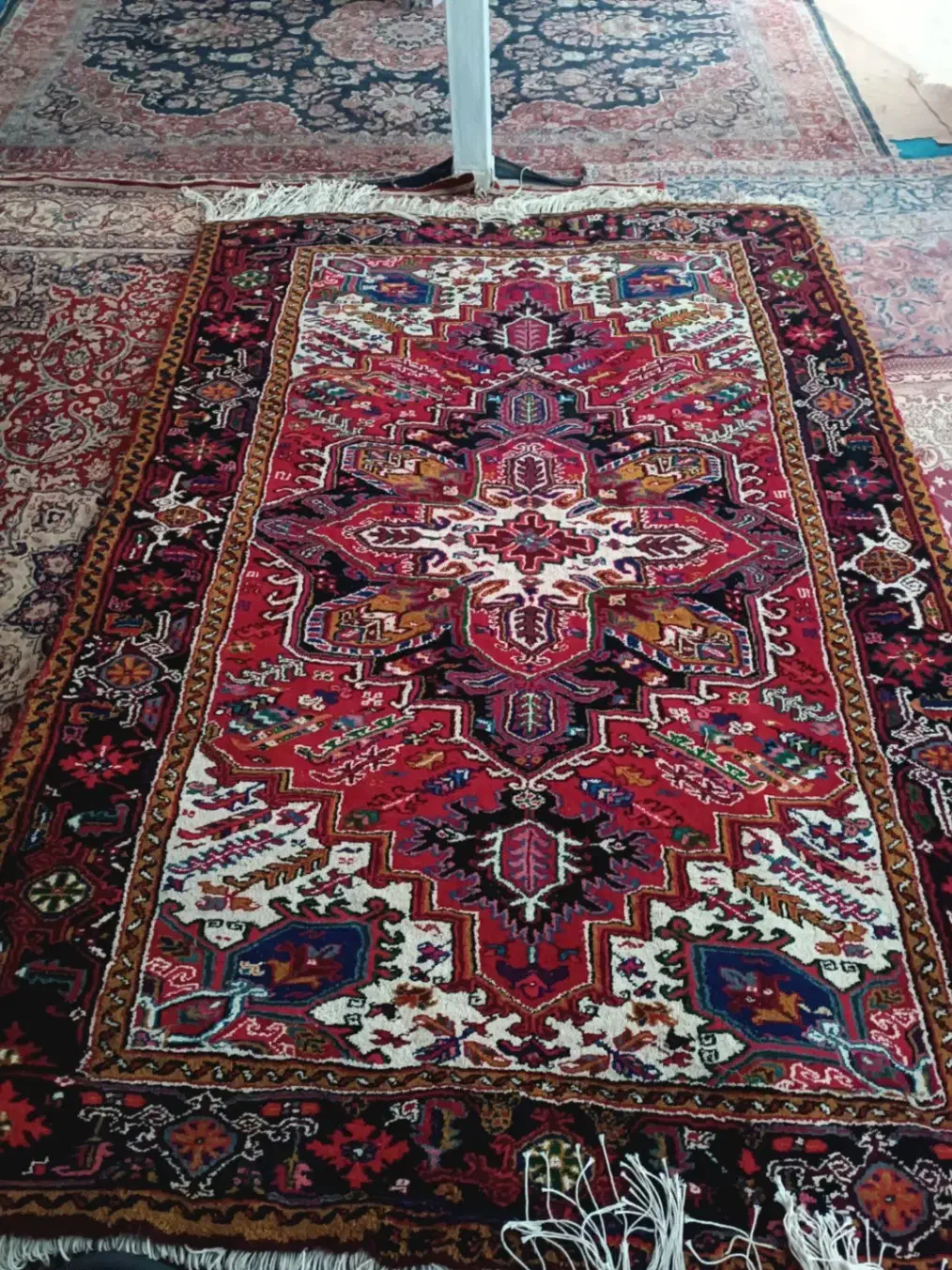 فرس دست بافت|فرش|بستان آباد, |دیوار