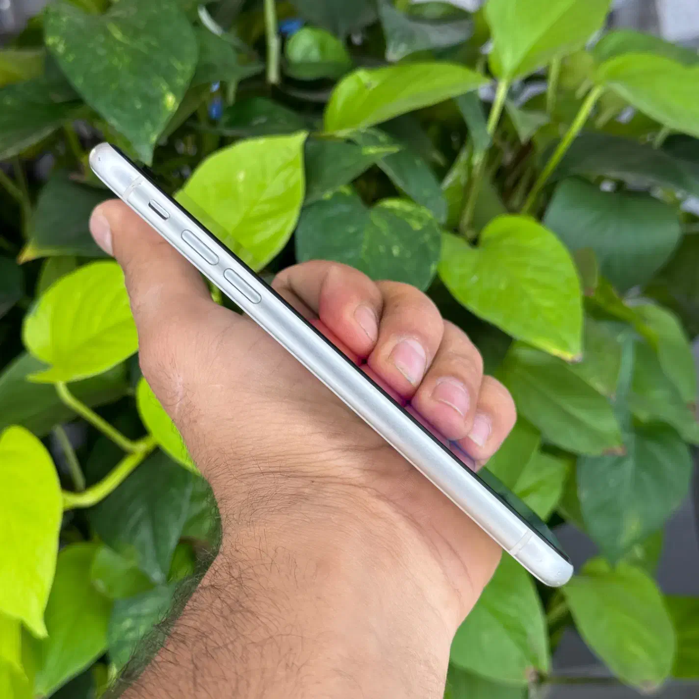Iphone 11 128G|موبایل|نیشابور, امام|دیوار