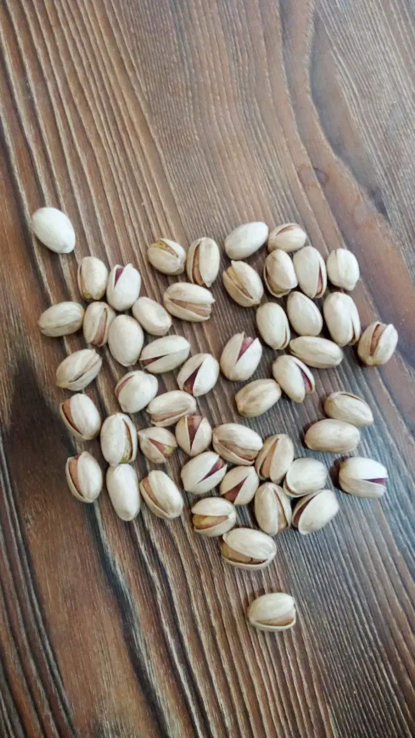 کله قوچی|خوردنی و آشامیدنی|تهران, زنجان جنوبی|دیوار