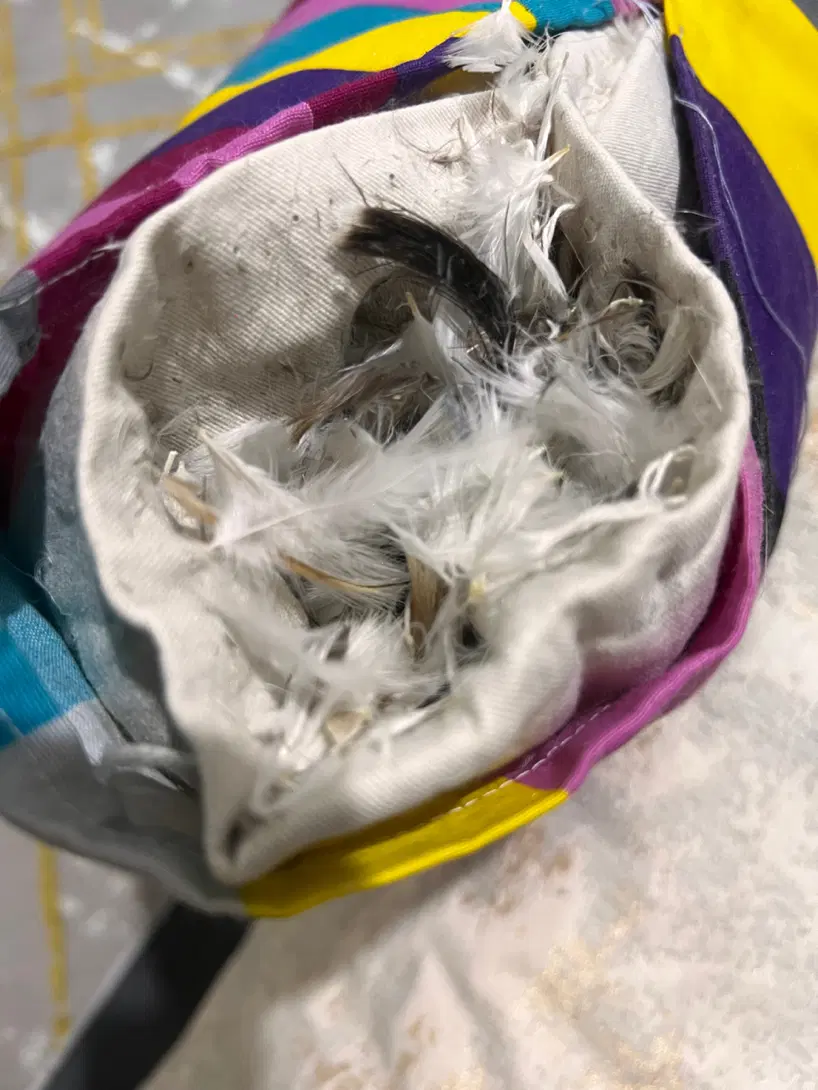 بالش پر|رختخواب، بالش، پتو|قروه, |دیوار