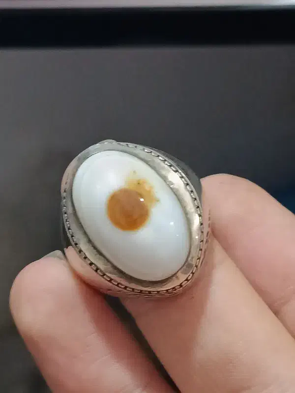 باباقوری سفید کمیاب|جواهرات|بوشهر, |دیوار