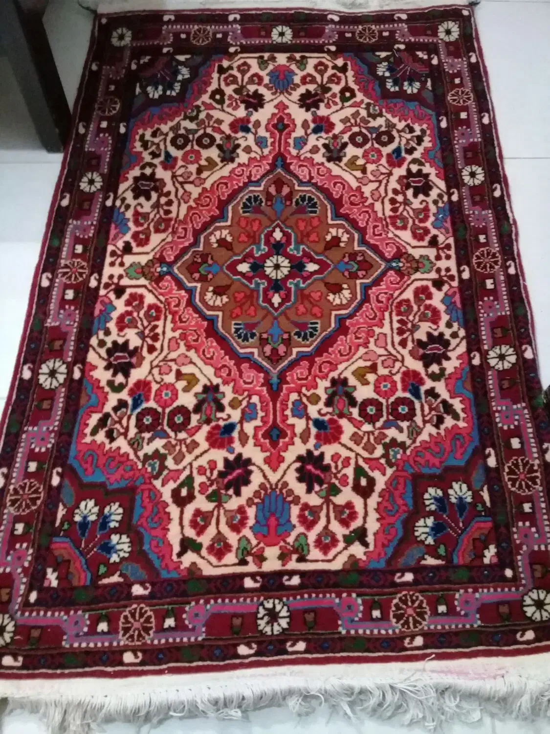 فرش  جوزان|فرش|تهران, سنگلج (شاپور)|دیوار