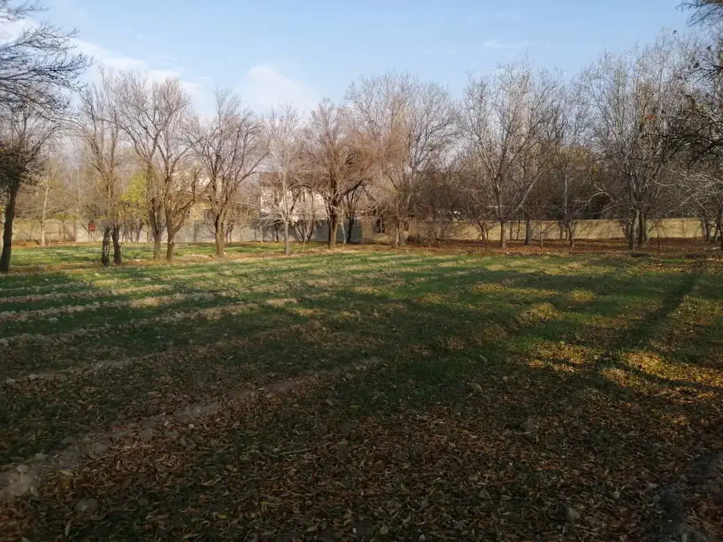 قطعه زمین ۱ هکتاری واقع در روستای الویجان|فروش دفتر صنعتی، کشاورزی، تجاری|تفرش, |دیوار