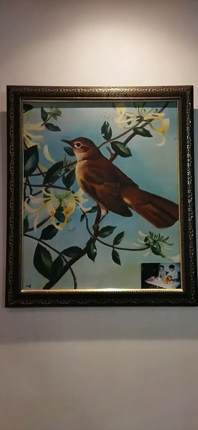 نقاشی . رنگ و روغن . کبوتر|تابلو، نقاشی، عکس|رشت, رشتیان|دیوار