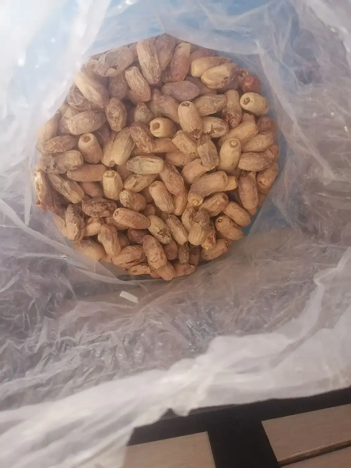 خرما سفید|حراج|کرمان, |دیوار