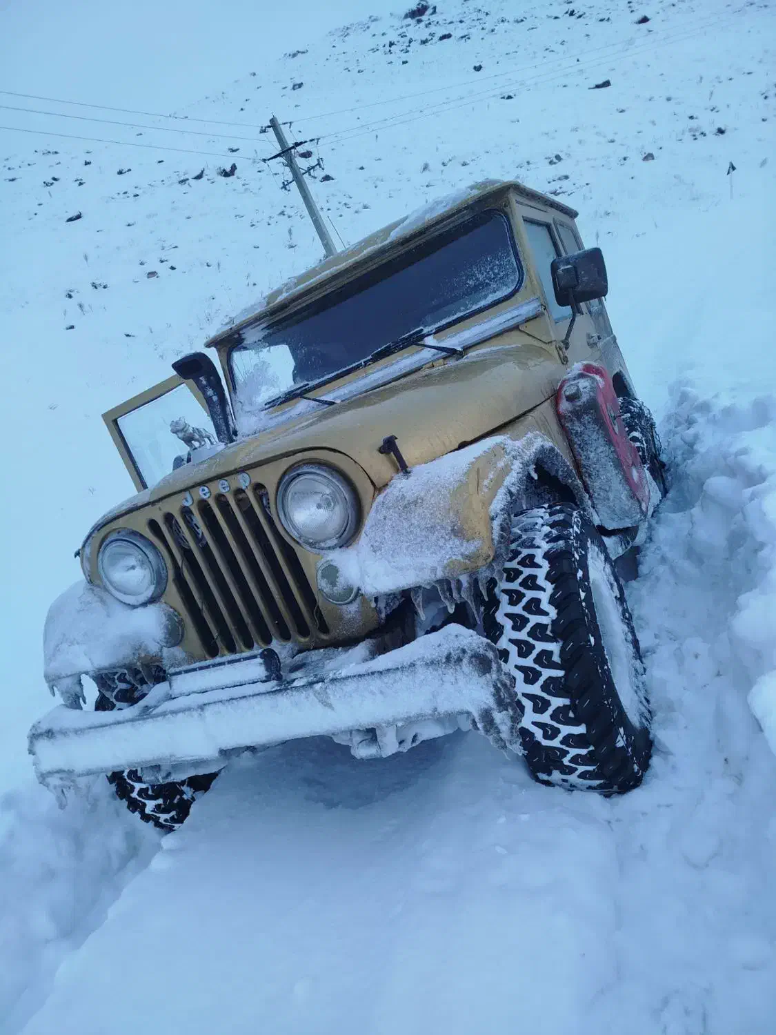 جیپ شهباز شش سیلندر|خودرو کلاسیک|اردبیل, |دیوار