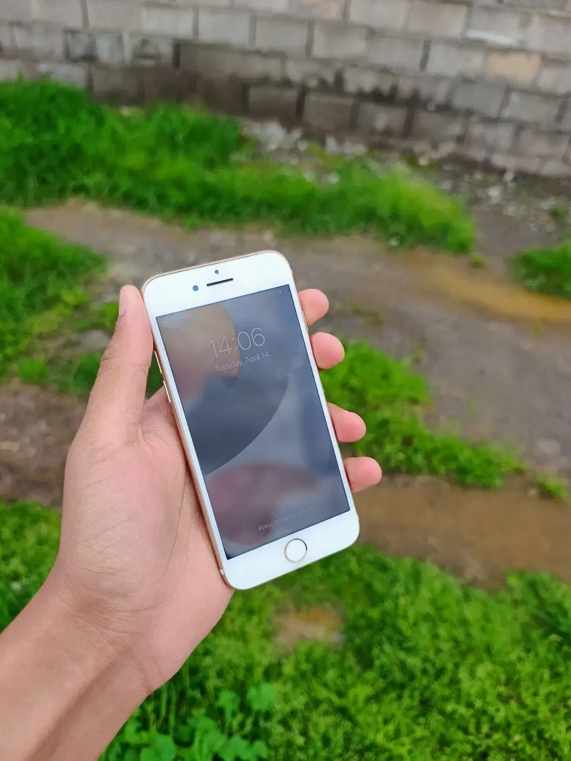 iPhone 7 gold 128|موبایل|آق قلا, |دیوار