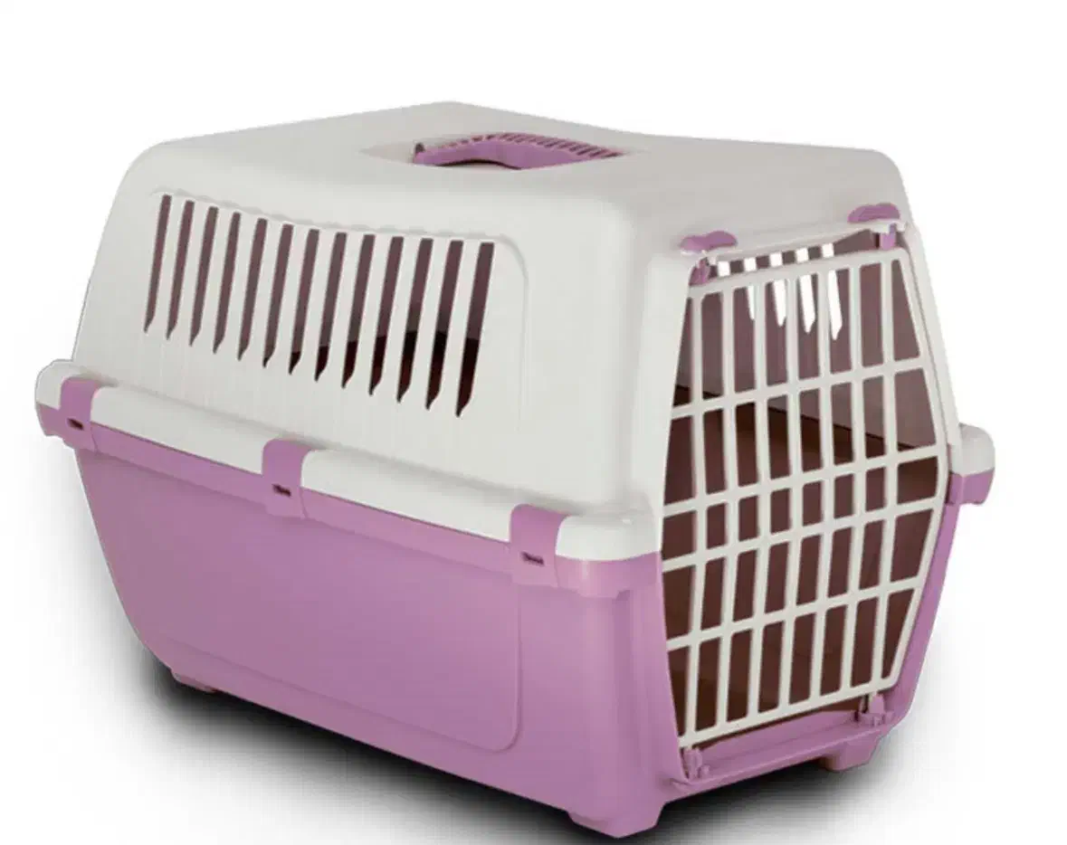 باکس سگ|لوازم جانبی حیوانات|کیانشهر, |دیوار