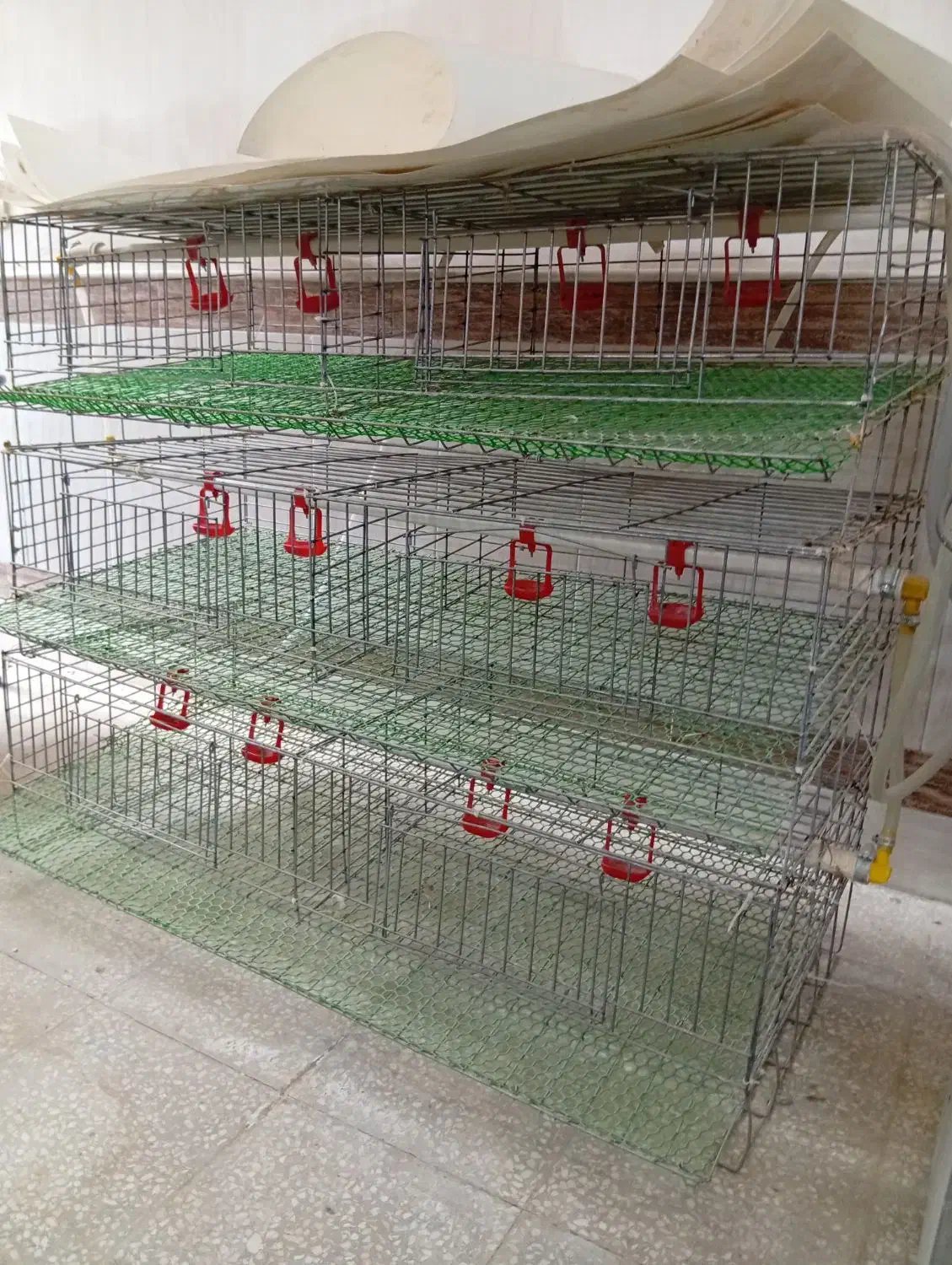 قفس بلدرچین و دستگاه جوجه کشی|لوازم جانبی حیوانات|آران و بیدگل, |دیوار